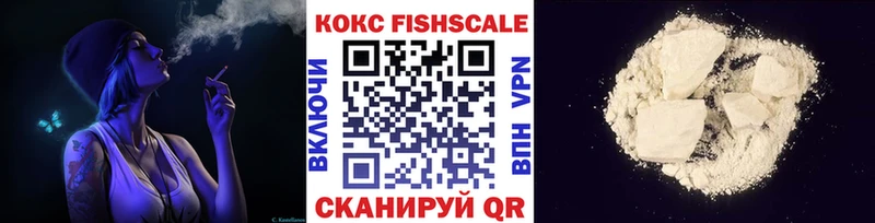Купить закладки  Сызрань  Cocaine FishScale 