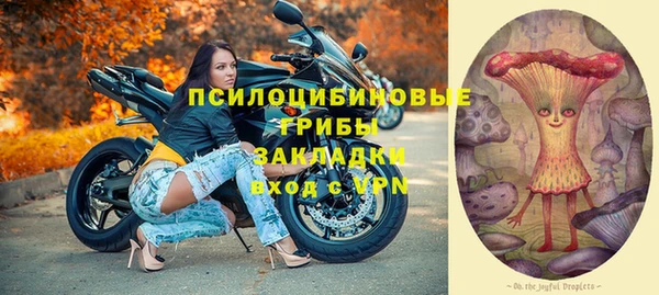 гашик Гусев