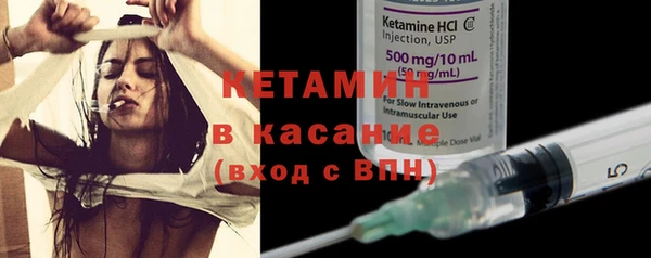 гашик Гусев
