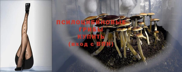 гашик Гусев