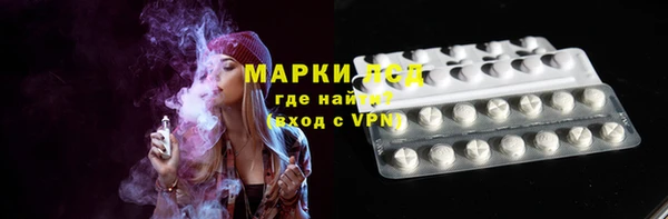 гашик Гусев