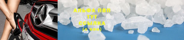 гашик Гусев