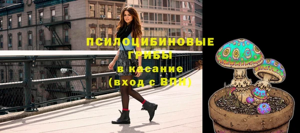 гашик Гусев