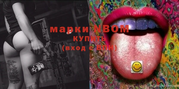 гашик Гусев