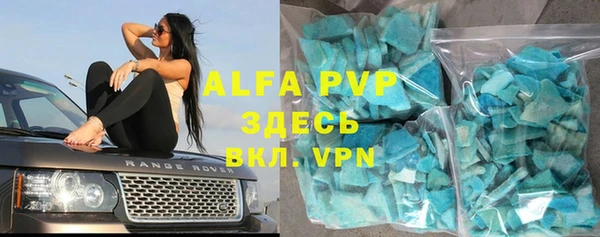 гашик Гусев