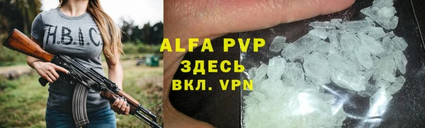 гашик Гусев