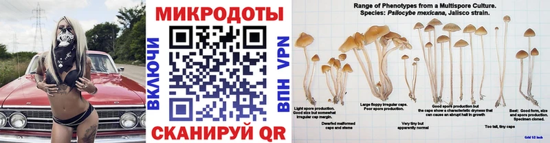 Галлюциногенные грибы MAGIC MUSHROOMS  Купить  Сызрань 